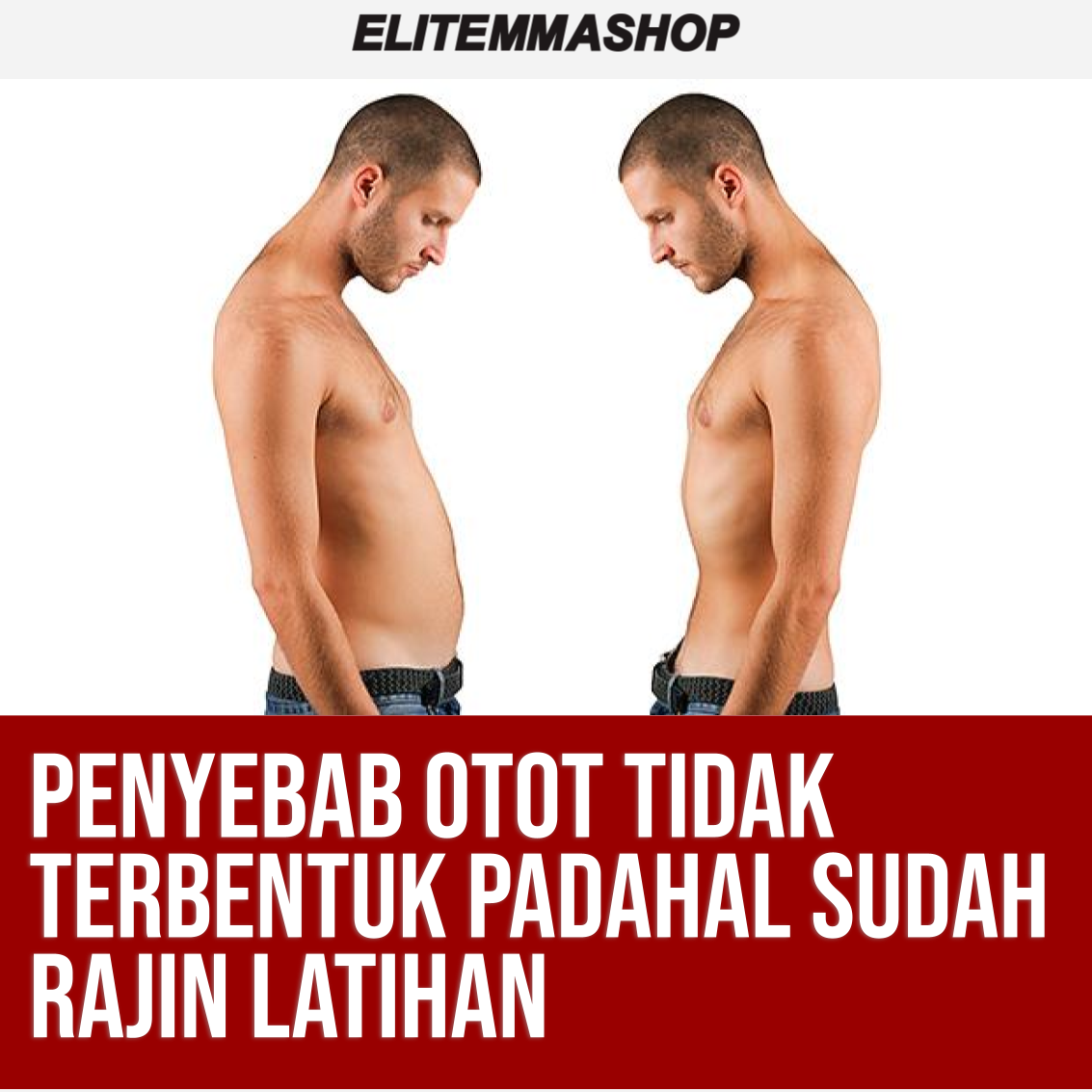 Penyebab Otot Tidak Terbentuk Padahal Sudah Rajin Latihan Elite Mma