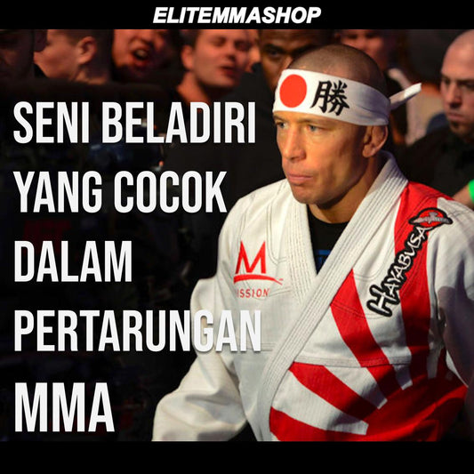 Seni Beladiri yang Cocok dalam Pertarungan MMA