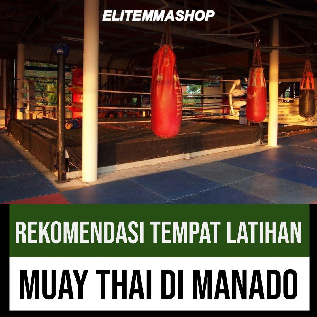 Rekomendasi Tempat Latihan Muay Thai di Manado