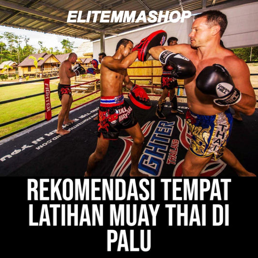 Rekomendasi Tempat Latihan Muay thai di Palu